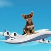 8-Tips-for-Flying-With-Your-Dog-2